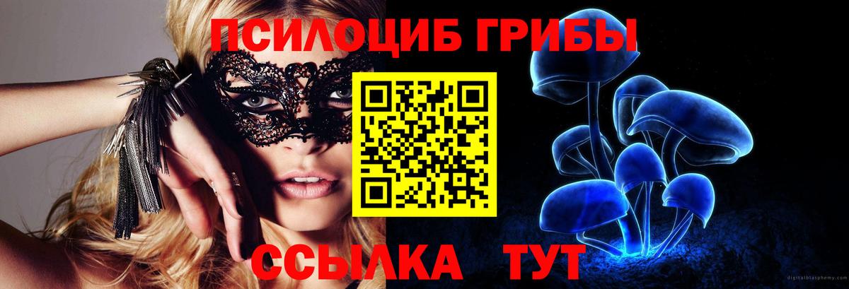 Павловский Посад  Псилоцибиновые грибы прущие грибы  Вход с VPN 